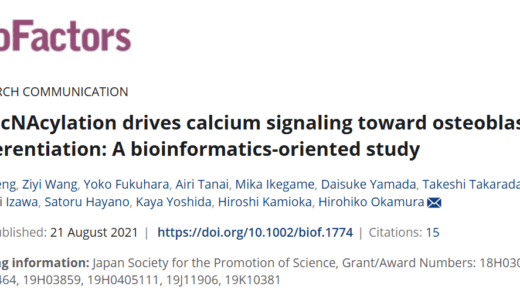 岡山大学歯学部口腔形態学分野との共同研究成果（Weng et al, Biofactors, 2021）が論文化されました！