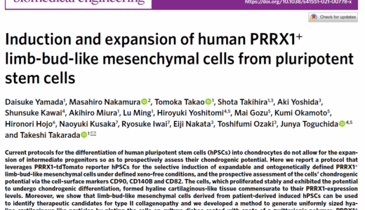 論文（Yamada et al, Nature Biomedical Engineering, 2021）が受理されました（祝 通算100報目）ヒト多能性幹細胞から拡大培養可能な肢芽様間葉系細胞（ExpLBM）の誘導 ― 四肢骨格発生模倣や関節軟骨再生のための細胞製造基盤を確立
