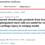 論文（Takihira et al, npj Reg Med, 2025）が掲載されました！iPS細胞由来の人工軟骨で関節軟骨損傷を修復 ― ミニブタモデルでの成功