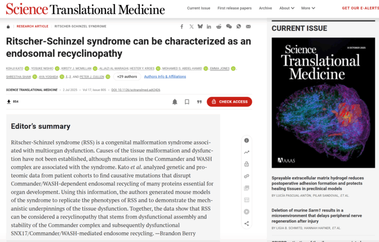 名古屋市立大学との共同研究成果が論文化(Kato et al, Sci Transl Med, 2025)されました。