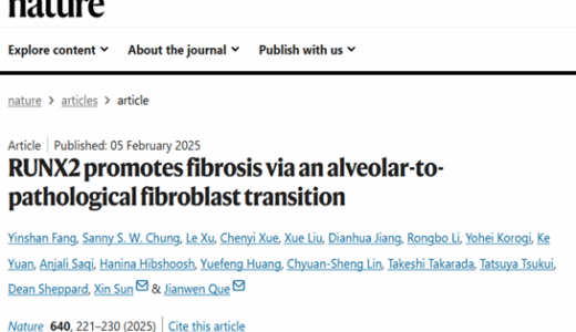 論文が掲載されました！