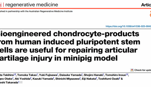 論文が掲載されました！