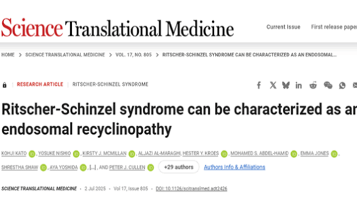 論文が掲載されました！