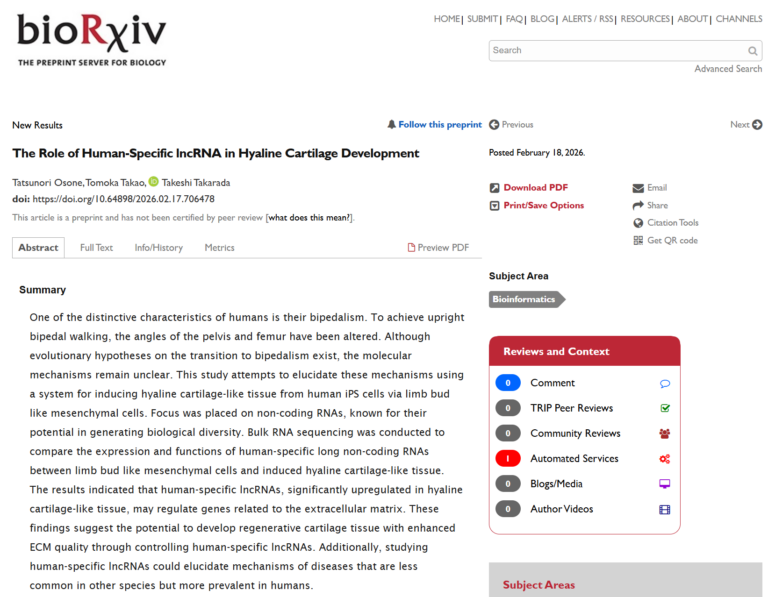 論文（Osone et al, bioRxiv, 2025）が掲載されました！ヒト特異的長鎖ノンコーディングRNAが軟骨形成を制御する可能性を発見